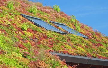 Pannal living roof systems